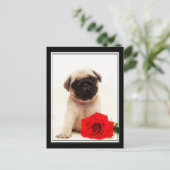 Briefkaart van puppy (Staand voorkant)