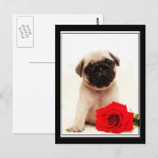 Briefkaart van puppy (Voorkant / Achterkant)