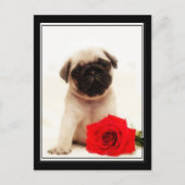 Briefkaart van puppy (Voorkant)