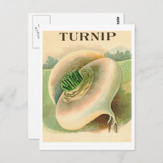 briefkaart van  raapzaadpakket (Voorkant / Achterkant)