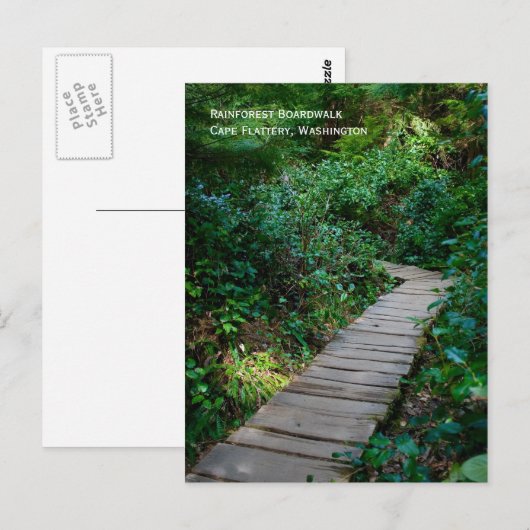 Briefkaart van Rainforest Boardwalk (Voorkant / Achterkant)