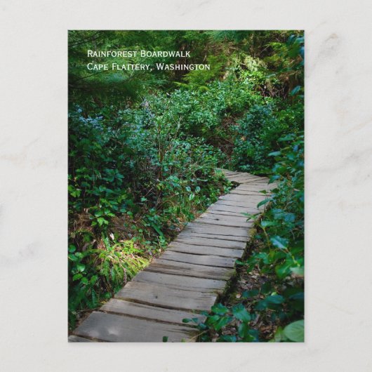 Briefkaart van Rainforest Boardwalk (Voorkant)