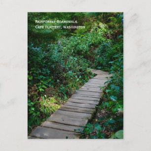 Briefkaart van Rainforest Boardwalk