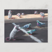 Briefkaart van ratten en duiven (Voorkant)