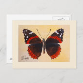 Briefkaart van Red Admiral Butterfly (Voorkant / Achterkant)