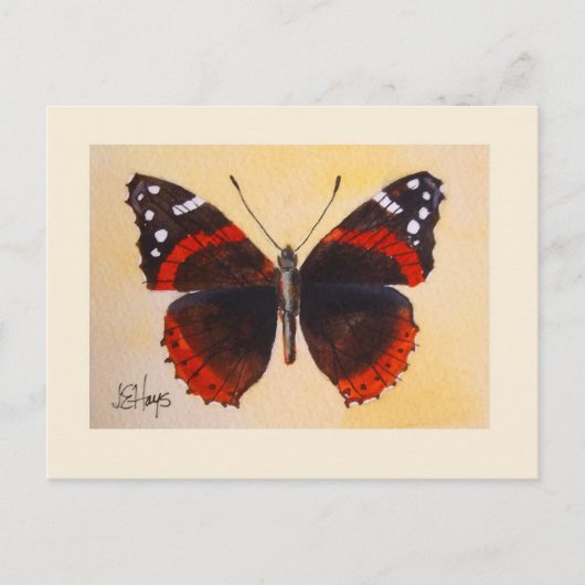 Briefkaart van Red Admiral Butterfly (Voorkant)