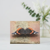 Briefkaart van Red Admiral Butterfly (Staand voorkant)