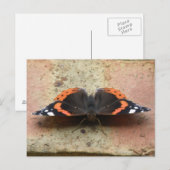 Briefkaart van Red Admiral Butterfly (Voorkant / Achterkant)