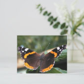 Briefkaart van Red Admiral Butterfly (Staand voorkant)