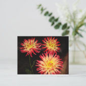 Briefkaart van Red en Yellow Dahlia (Staand voorkant)