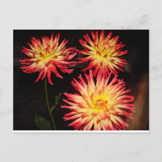 Briefkaart van Red en Yellow Dahlia