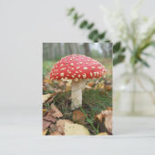 Briefkaart van Red Fly Agaric (Staand voorkant)