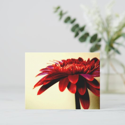 Briefkaart van Red Gerbera (Staand voorkant)
