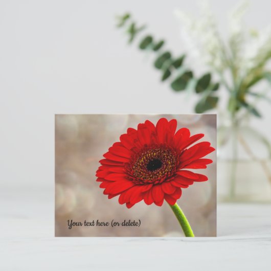 Briefkaart van Red Gerbera (Staand voorkant)
