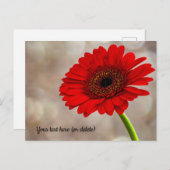 Briefkaart van Red Gerbera (Voorkant / Achterkant)