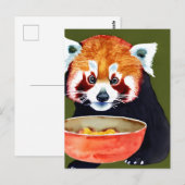Briefkaart van Red Panda Eating (Voorkant / Achterkant)