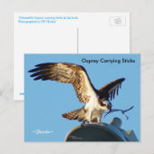Briefkaart van rijststokken van sprei (Voorkant / Achterkant)