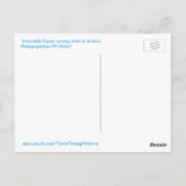 Briefkaart van rijststokken van sprei (Achterkant)