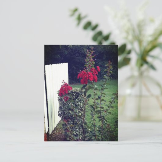 Briefkaart van rode bloemen (Staand voorkant)