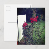 Briefkaart van rode bloemen (Voorkant / Achterkant)