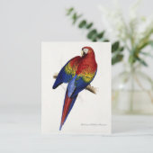 Briefkaart van rode en gele gieren (Staand voorkant)