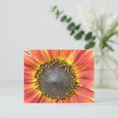 Briefkaart van rode en gele zonnebloemen (Staand voorkant)