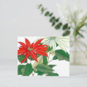 Briefkaart van rode en witte Poinsettia (Staand voorkant)