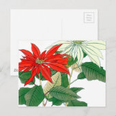 Briefkaart van rode en witte Poinsettia (Voorkant / Achterkant)