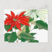 Briefkaart van rode en witte Poinsettia (Voorkant)