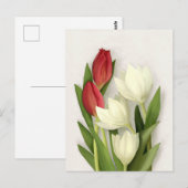 Briefkaart van rode en witte tulpen (Voorkant / Achterkant)