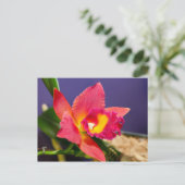 Briefkaart van rode of gele orchidee (Staand voorkant)