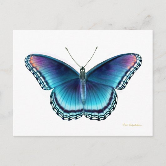 Briefkaart van rode Paarse vlinder (Voorkant)