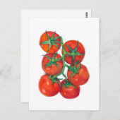 Briefkaart van rode tomaten (Voorkant / Achterkant)