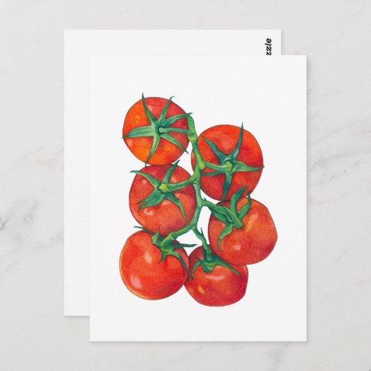Briefkaart van rode tomaten (Voorkant / Achterkant)