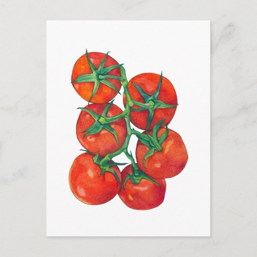 Briefkaart van rode tomaten (Voorkant)