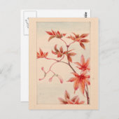 Briefkaart van rode zeehond (Voorkant / Achterkant)