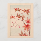 Briefkaart van rode zeehond (Voorkant)