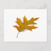 Briefkaart van rood eiken door Petr Kratochvil (Voorkant)