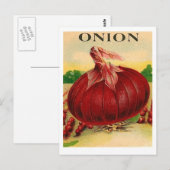 briefkaart van  rood uienzaadpakket (Voorkant / Achterkant)