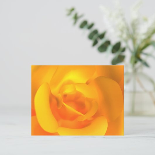 Briefkaart van Roos (Staand voorkant)