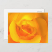 Briefkaart van Roos (Voorkant / Achterkant)