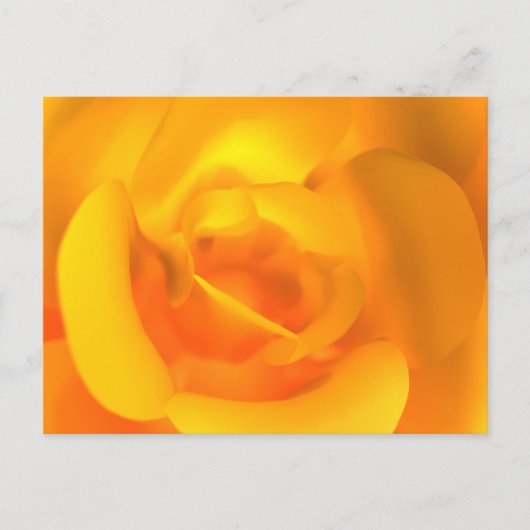 Briefkaart van Roos (Voorkant)