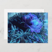 Briefkaart van Roos van elektrische tuinbouw (Voorkant / Achterkant)