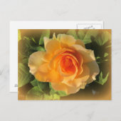 Briefkaart van Roos van honingparfum (Voorkant / Achterkant)