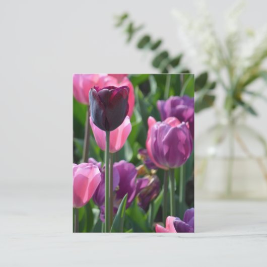 Briefkaart van roze en Paarse tulpen (Staand voorkant)