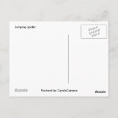 Briefkaart van Salticid Black en White Jumping Spi (Achterkant)
