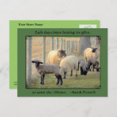 Briefkaart van schapen, Amish Proverb. Jouw tekst  (Voorkant / Achterkant)
