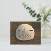 Briefkaart van scharnieren met zandband (kleurenfo (Staand voorkant)