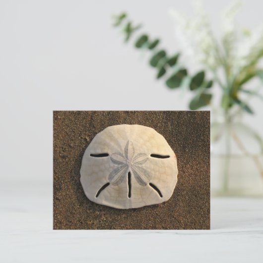 Briefkaart van scharnieren met zandband (kleurenfo (Staand voorkant)