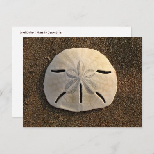 Briefkaart van scharnieren met zandband (kleurenfo (Voorkant / Achterkant)